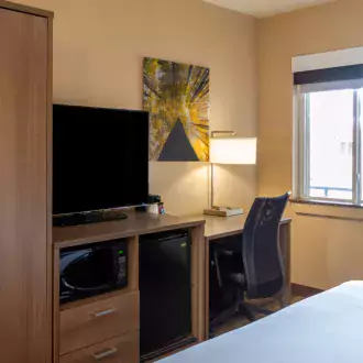 deluxe guest room photo
