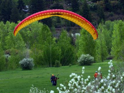 Paragliders land in a grassy field - Aspen, CO