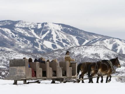 A cozy sleigh ride with the ski slopes of Steamboat in the background - Steamboat Springs, CO