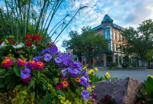 Brilliantly colored flowers on a street corner