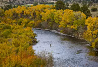 The area's Gold Medal waters 