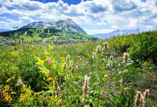 Mount Crested Butte rises above the Gunnison Valley in the summer