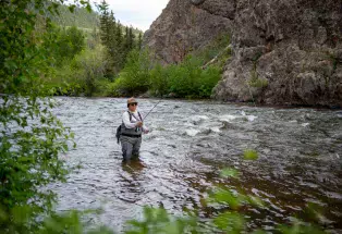 A woman fly-fishing on the Taylor River in Almont