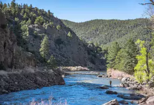 A fisher along the banks of the Arkansas Headwaters Recreation Area
