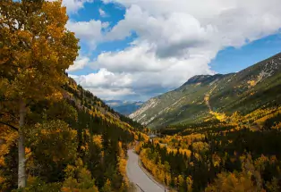 Fall colors on Guanella Pass