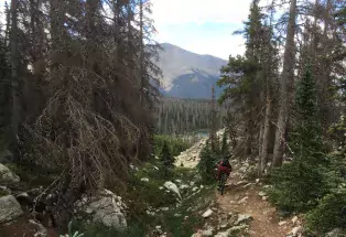 A singletrack trail through the woods near Buena and Salida