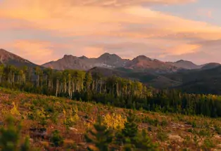 State Forest State Park trees and peaks at dusk