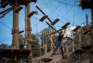 Puzzling through aerial park challenges