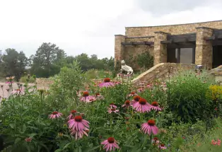 Canyons of the Ancients Visitor Center with pink flowers in foreground