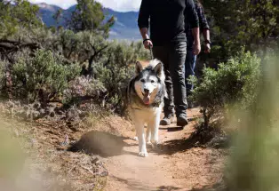 Hiking near Cortez in Hawkins Preserve