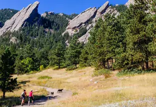 Summer shot of Boulder Flatirons with two people walking two dogs up the trail.
