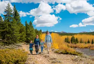 A family of four hikes along a gravel trail near Leadville with golden leaves and evergreen trees along with a blue sky and fluffy white clouds in the background.