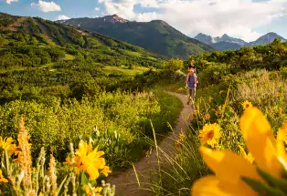 People walking on a beautiful scenic mountain trail.