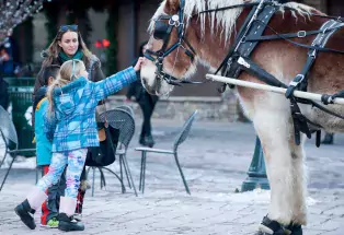 Girl reaching out to horse while her mom watches