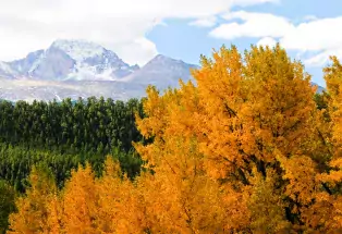 Fall colors in Rocky Mountain National Park