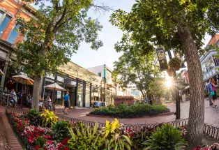 Downtown Boulder's Pearl Street seen in summer with trees covered in green leaves