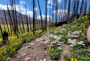 Green Mountain Trail in Rocky Mountain National Park near Grand Lake