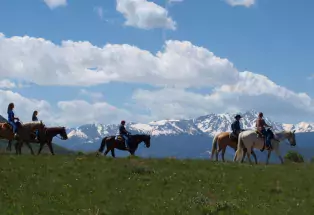 Five horses with riders from Rusty Spurr Ranch in Kremmling plod across a grassy field with snowcapped mountains in the background