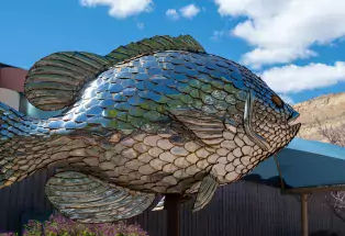 A fish sculpture made of highly reflective metal in downtown Palisade