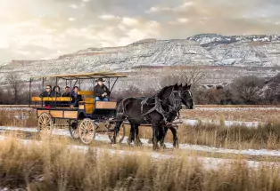 Two large, black horses pull people in a carriage past the snow-covered Grand Mesa at Palisade River Ranch