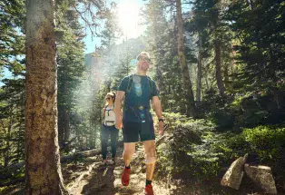 Two hikers on a trail, surrounded by trees, hike along in the sunlight