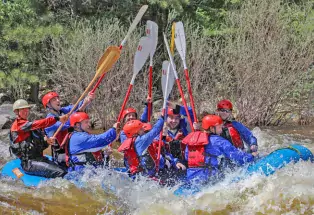A large group of red vest- and helmet-clad people are on an inflatable blue raft on the white waters of the Cache la Poudre River in Colorado. They are all holding their paddles up in the air in celebration as they cruise down the river. Behind them are various green plants.