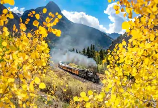 In the foreground but out of focus on the left and right bottom of the photo are the shimmering yellow leaves of aspen trees, lit up by the sun. Beyond the trees and in focus in the middle of the photo is the Durango Train, with billowing steam coming from the first car. The cars behind it are orange and curving around a bend in the railroad. Beside the train is vegetation of varying heights and shades of green. In the very background are craggy tree-laden mountains under a blue sky.