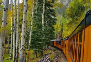 A vertical photo of the Durango Train's orange cabins on the track. The train stretches around the bend beyond the tall, white, black-speckled aspen trees and the wide, dark-green pine trees. In the background through the leaves, a tall mountainous structure towers in the sky.