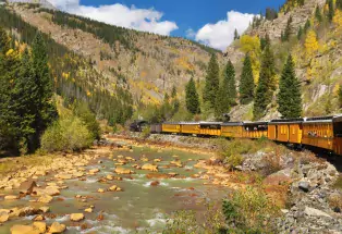 The Durango Train rides along the Animas River during fall time. The very train's engine is out of frame, but in the frame you can see the ten or so orange cabins and the caboose. Beside the train is the Animas River spotted with beige rocks and surrounded by a couple of tall hills laden with green and yellow trees.