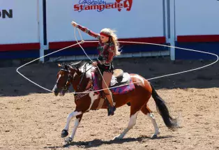 A woman in a sequined outfit on a brown horse twirls her rope in a circle around her and the horse at the Greeley Stampede