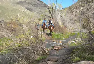 Best Hiking Trails in Fort Collins Colorado