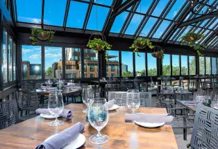 Several potted leafy plants hang from their planters attached to the window ceiling on this covered patio at Ginger and Baker in Fort Collins, Colorado. The room looks to be above ground a few levels up, and looks out onto more modern-looking buildings in the area of Fort Collins. The sky above the building is deep blue.