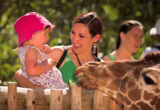 Cheyenne Mountain Zoo