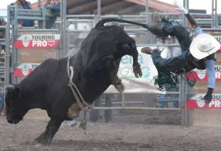 Logan County Fair & Rodeo