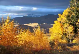 Great Sand Dunes and the Sangre de Cristo Mountains
