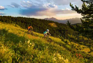 Mountain Biking through Wildflowers