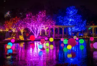Denver Botanic Gardens Blossoms of Light