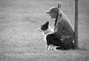 Meeker Classic Sheepdog Championship Trials 