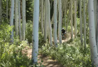 Mountain biking in Grand Junction
