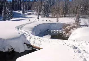 Nordic trails on the Grand Mesa
