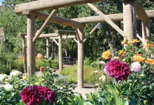 A summer day at Hudson Gardens