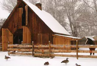 A winter day at Littleton Museum