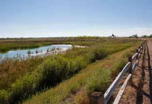View wildlife at the Limon Wetlands