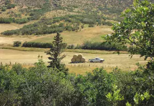 Pastoral Moffat County
