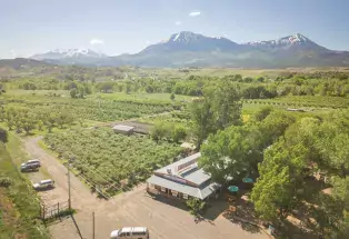 Big B's Delicious Orchards in Hotchkiss