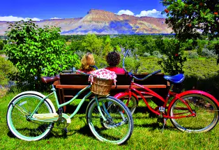 Palisade's Fruit & Wine Byway