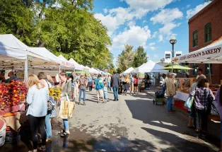 The Colorado Farm Experience | Colorado.com