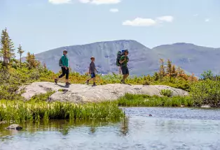 There are hundreds of hiking trails in and around Breckenridge to explore.