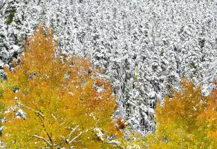 Guanella Pass at Fall