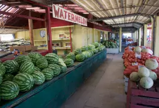 Famous Melon Stands Along Hwy. 50 near Rocky Ford